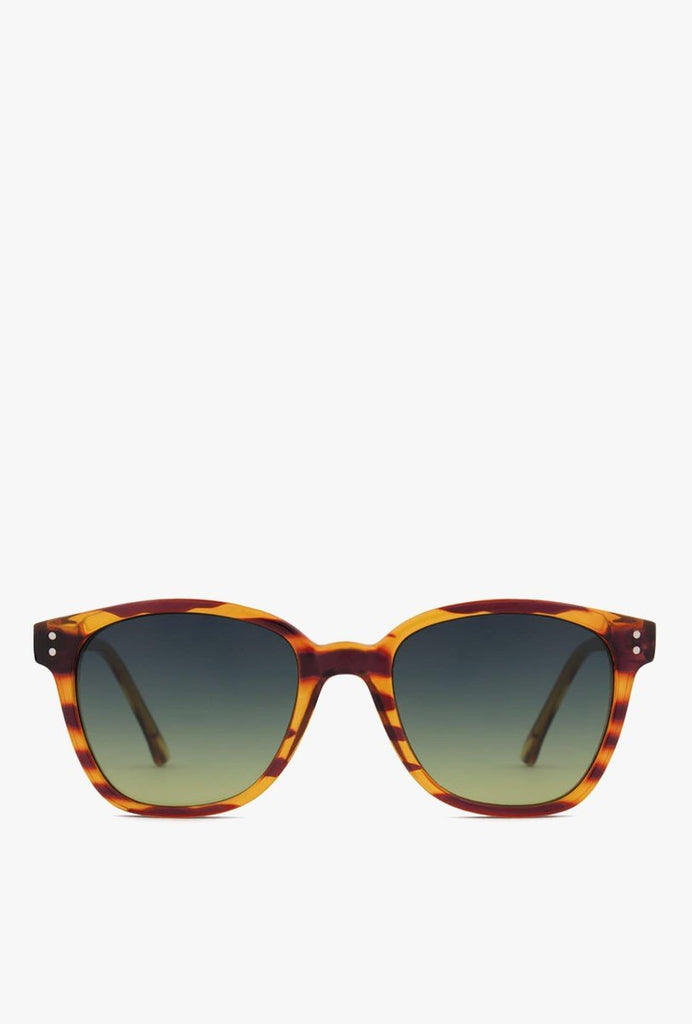 Renee Sunglasses - Line Tortoise